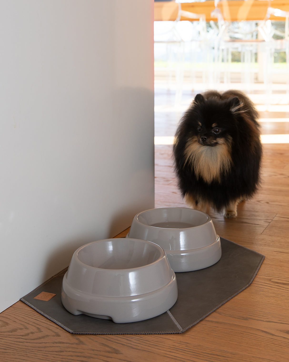 SEBASTIÃO CERAMIC DOG BOWLS |  קערת קרמיקה לכלב