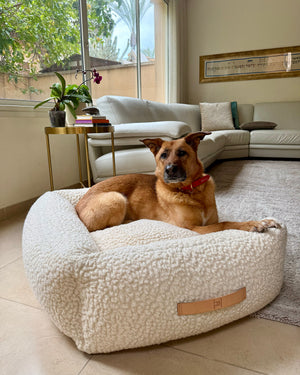 מיטה לכלב מצמר בוקלה טבעי | HENRI DOG BED