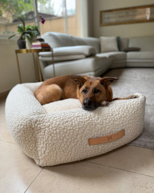 מיטה לכלב מצמר בוקלה טבעי | HENRI DOG BED
