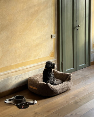 HENRI BOUCLÉ WOOL BED | מיטה לכלב