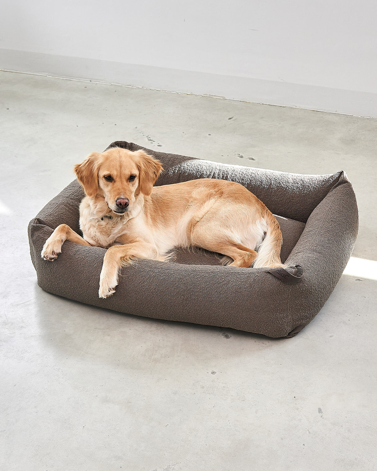 MONDO DOG BOX BED | מיטה לכלב