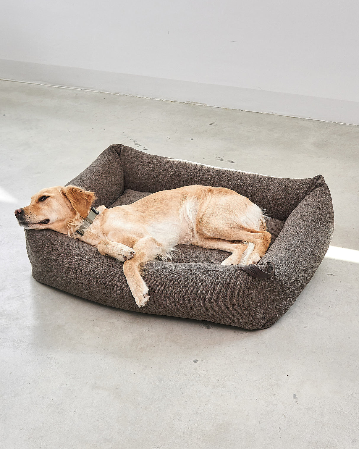 MONDO DOG BOX BED | מיטה לכלב