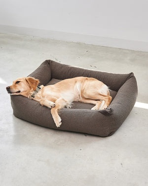MONDO DOG BOX BED | מיטה לכלב