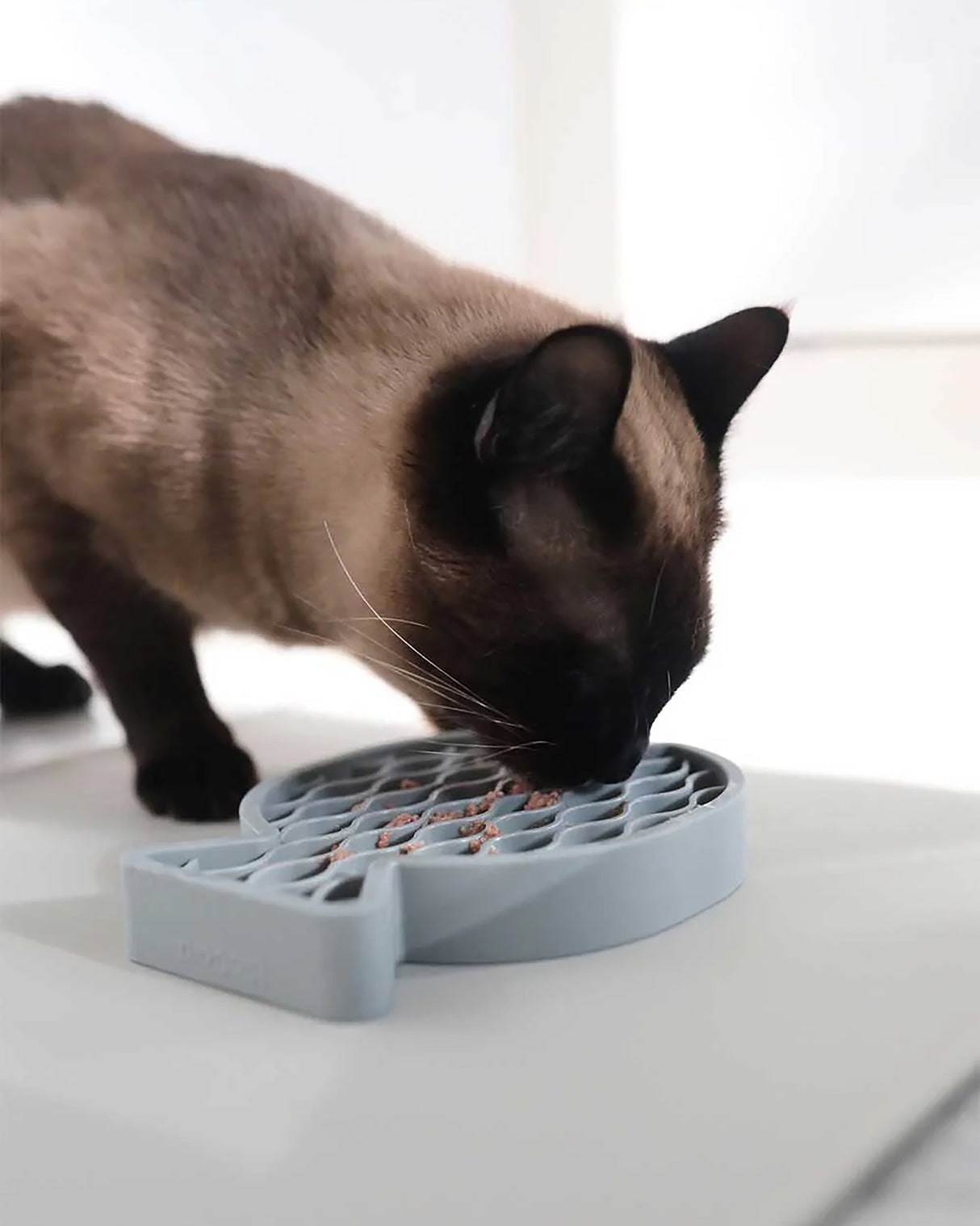 PESCE CAT ACTIVITY TOY | משטח ליקוק לחתולים