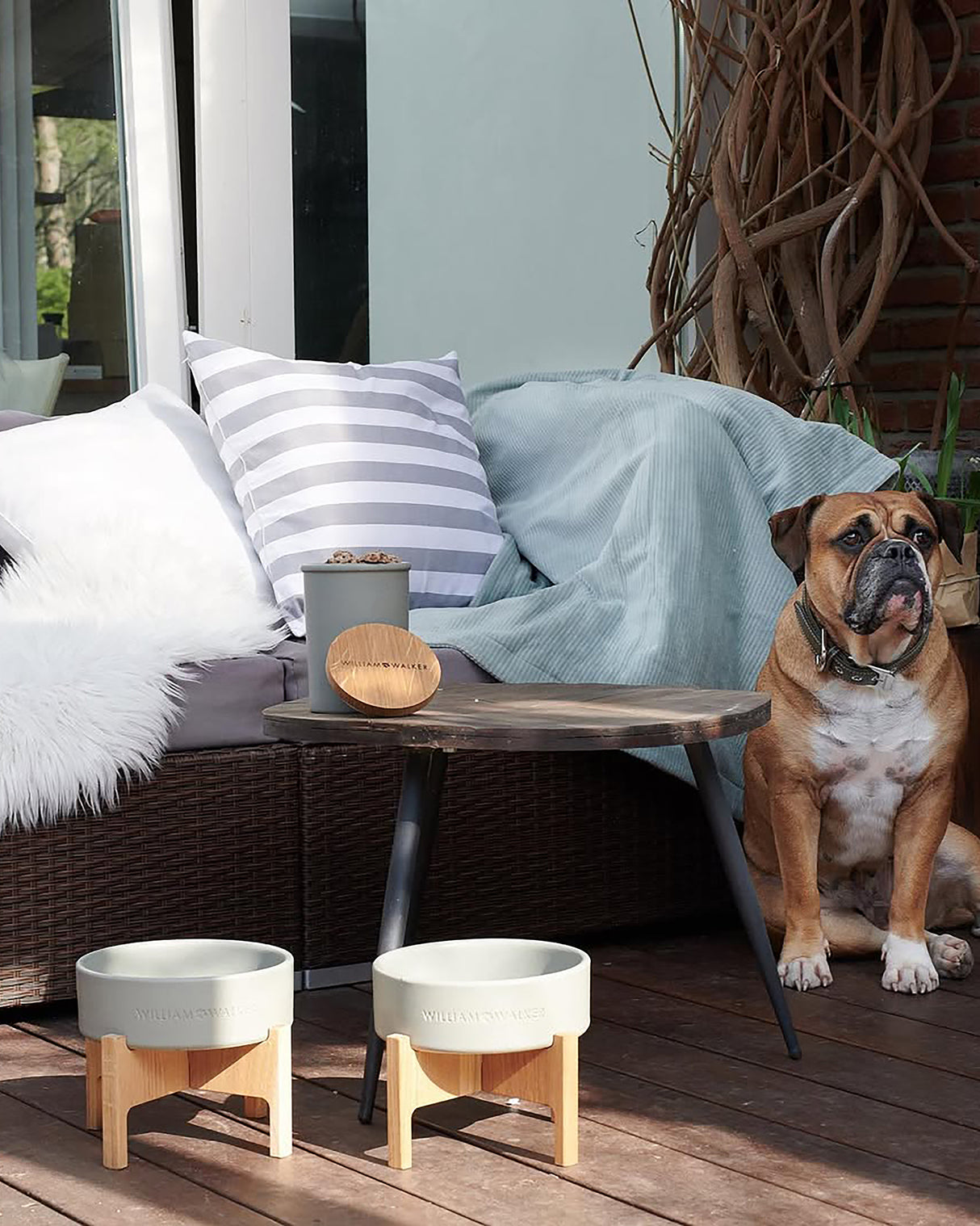 Ceramic Dog Food & Treat Jar | צנצנת לאחסון אוכל וחטיפים לכלב