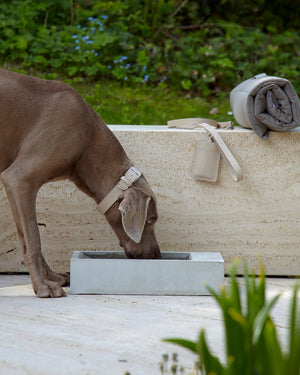 TROGOLO OUTDOOR WATER BOWL |  קערת מים לחצר לכלב ולחתול