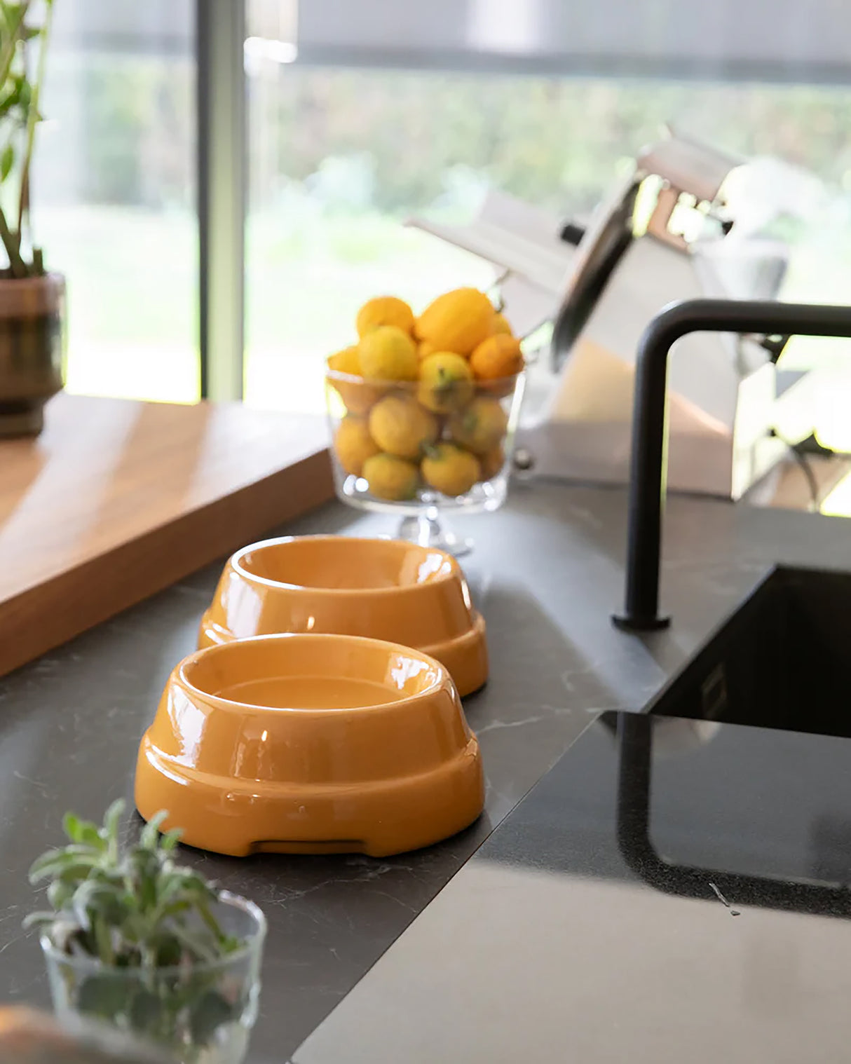 קערת קרמיקה איטלקית לכלבים ולחתולים | SEBASTIÃO DOG & CAT CERAMIC BOWLS