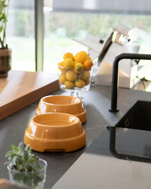 קערת קרמיקה איטלקית לכלבים ולחתולים | SEBASTIÃO DOG & CAT CERAMIC BOWLS